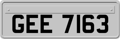 GEE7163
