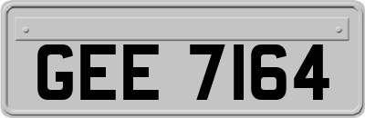 GEE7164
