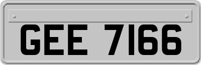 GEE7166