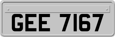 GEE7167