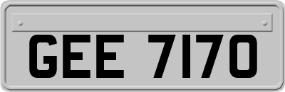 GEE7170
