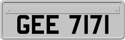 GEE7171