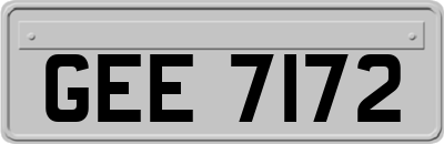GEE7172