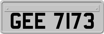 GEE7173