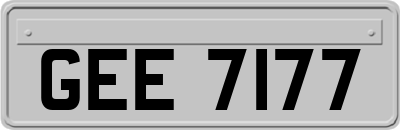 GEE7177