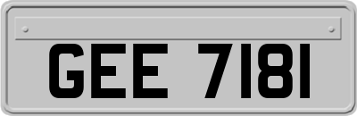 GEE7181