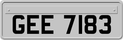 GEE7183