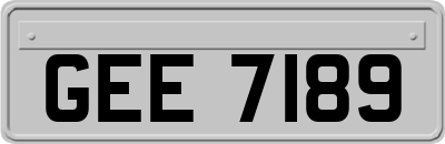 GEE7189