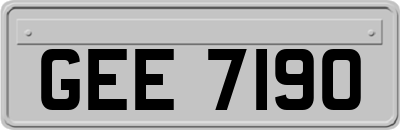 GEE7190
