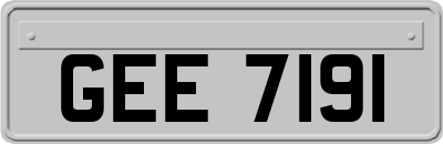 GEE7191
