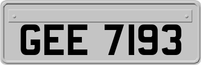 GEE7193