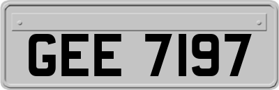 GEE7197