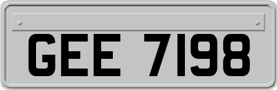 GEE7198