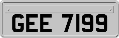 GEE7199