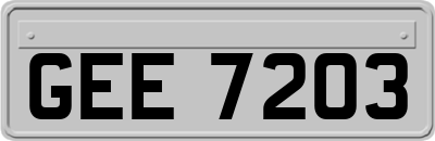 GEE7203