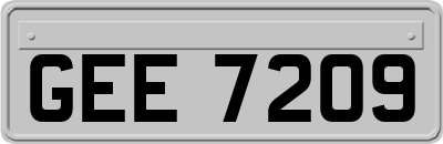GEE7209
