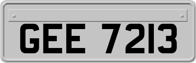 GEE7213
