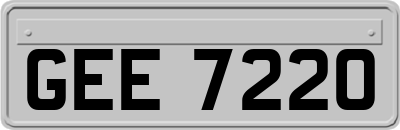 GEE7220