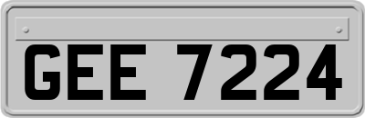 GEE7224