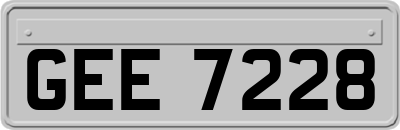 GEE7228