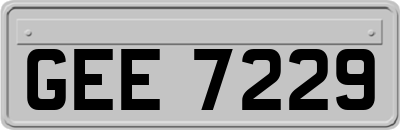 GEE7229