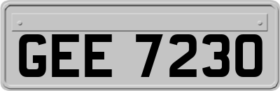 GEE7230
