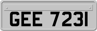 GEE7231