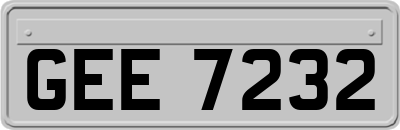 GEE7232