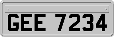 GEE7234