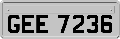 GEE7236