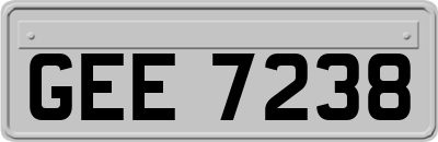 GEE7238