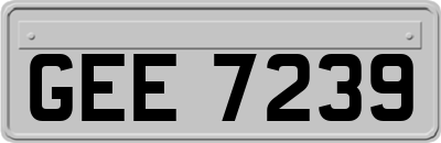 GEE7239