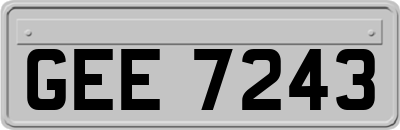 GEE7243
