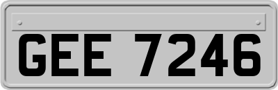 GEE7246