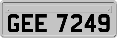 GEE7249