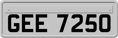 GEE7250