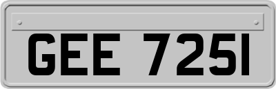 GEE7251