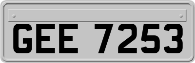 GEE7253