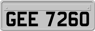 GEE7260