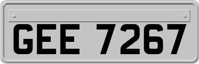 GEE7267