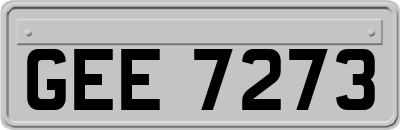 GEE7273