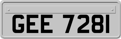 GEE7281