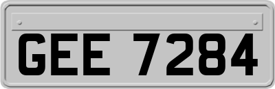 GEE7284
