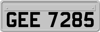 GEE7285
