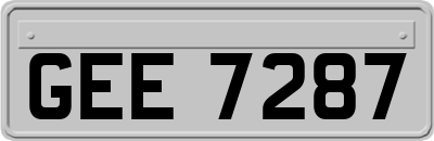 GEE7287
