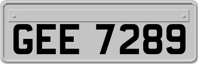 GEE7289