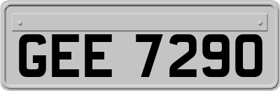 GEE7290
