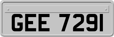 GEE7291
