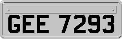 GEE7293