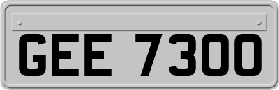 GEE7300